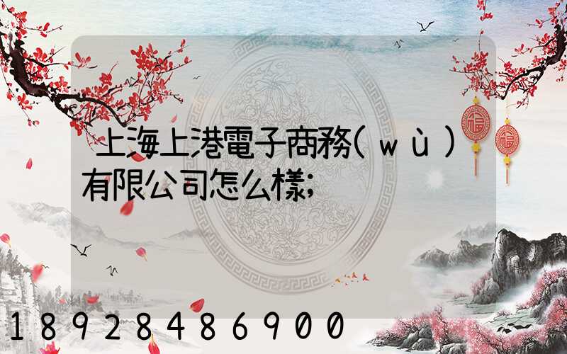 上海上港電子商務(wù)有限公司怎么樣