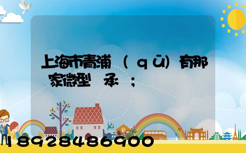 上海市青浦區(qū)有那幾家微型軸承廠
