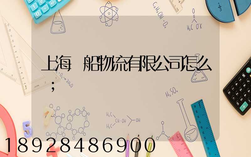 上海東船物流有限公司怎么樣