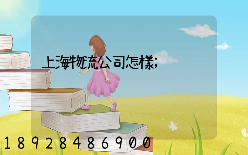 上海物流公司怎樣