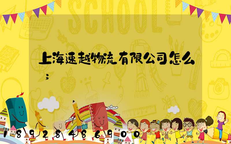 上海速越物流有限公司怎么樣