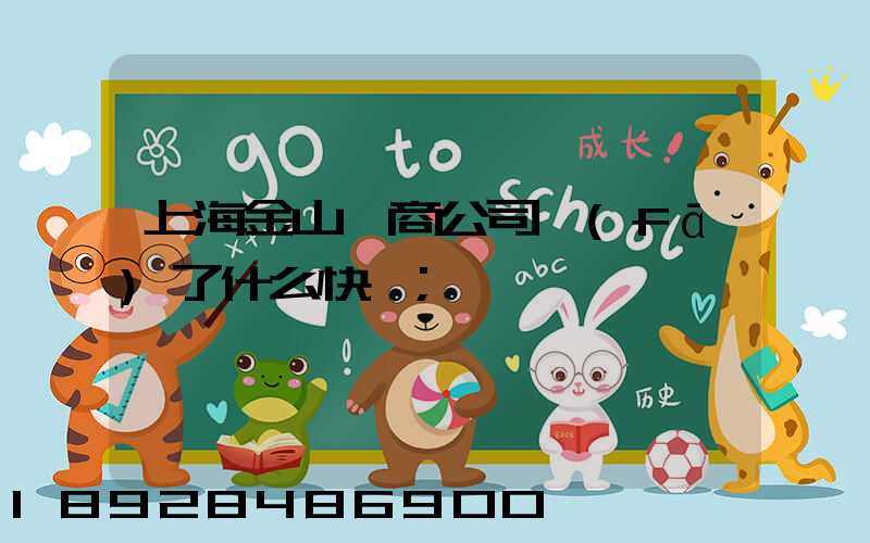 上海金山電商公司發(fā)了什么快遞