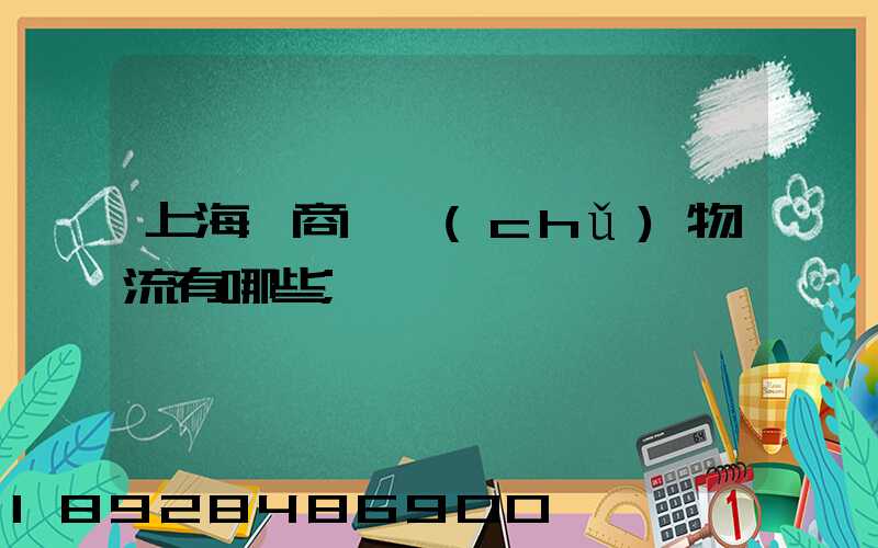 上海電商倉儲(chǔ)物流有哪些