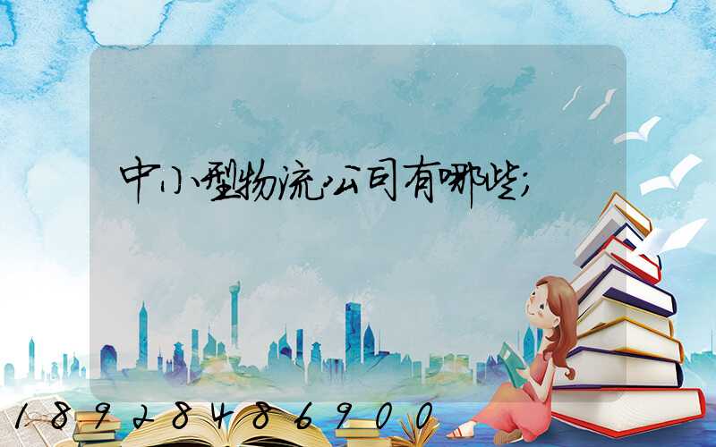 中小型物流公司有哪些