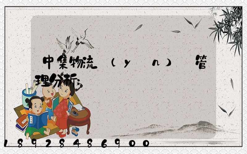 中集物流運(yùn)輸管理分析