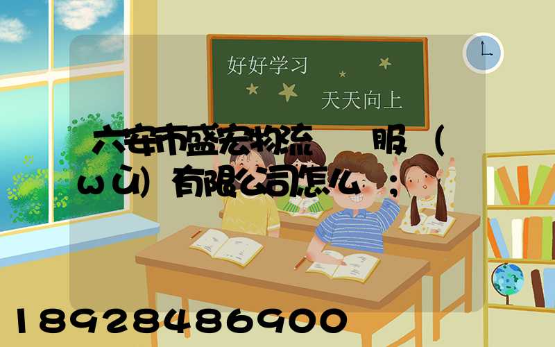 六安市盛宏物流運輸服務(wù)有限公司怎么樣
