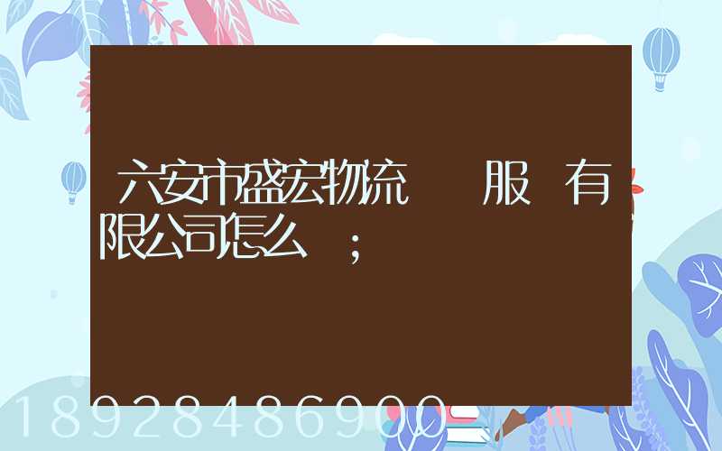 六安市盛宏物流運輸服務有限公司怎么樣