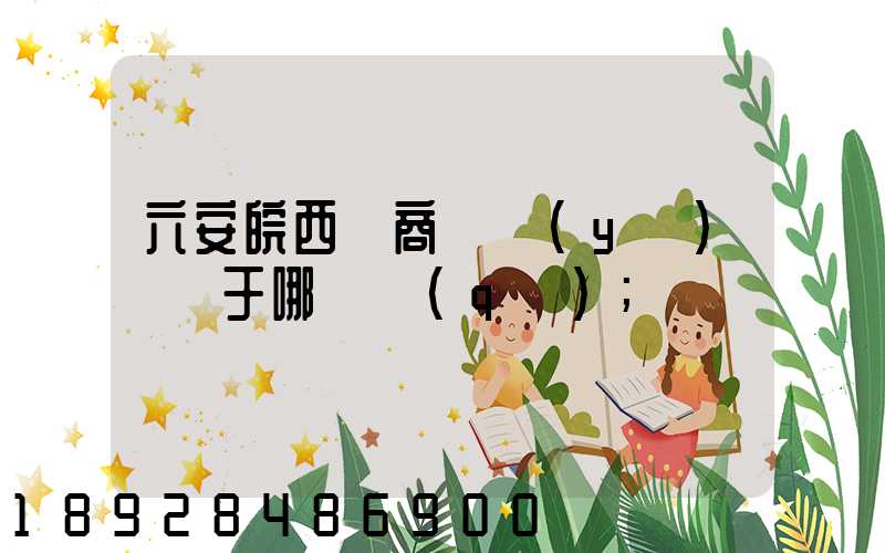 六安皖西電商產業(yè)園屬于哪個區(qū)