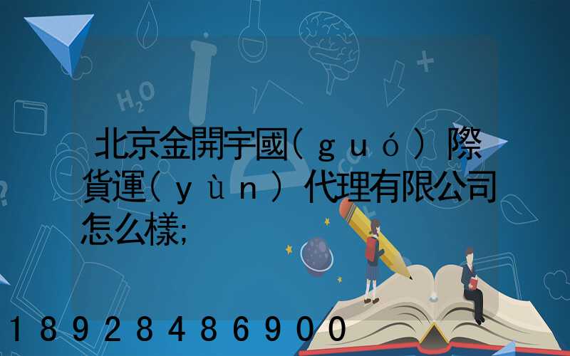 北京金開宇國(guó)際貨運(yùn)代理有限公司怎么樣