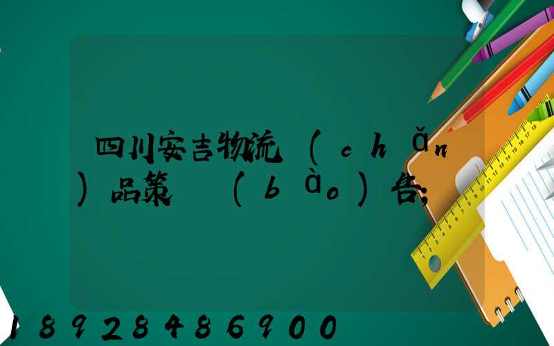 四川安吉物流產(chǎn)品策劃報(bào)告