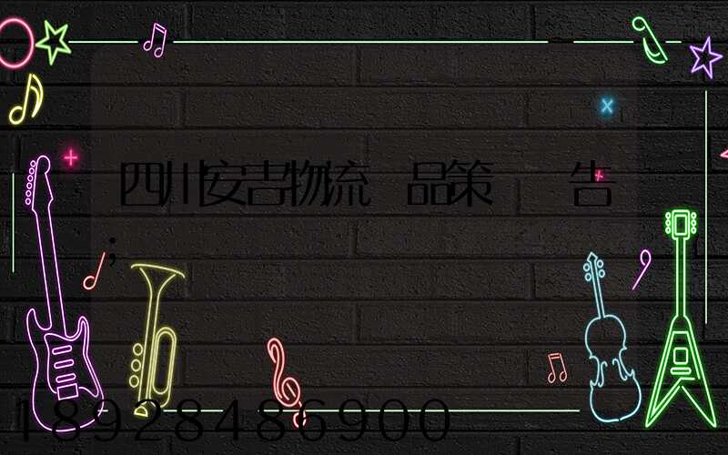 四川安吉物流產品策劃報告