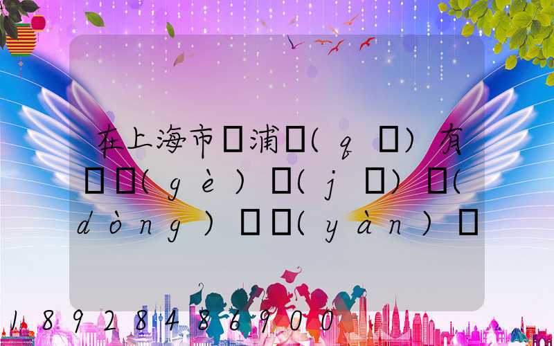 在上海市楊浦區(qū)有幾個(gè)機(jī)動(dòng)車驗(yàn)車點(diǎn)