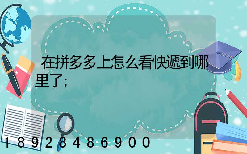 在拼多多上怎么看快遞到哪里了