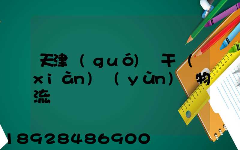 天津國(guó)際干線(xiàn)運(yùn)輸物流
