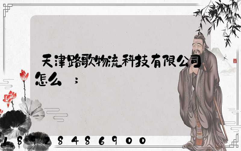 天津路歌物流科技有限公司怎么樣