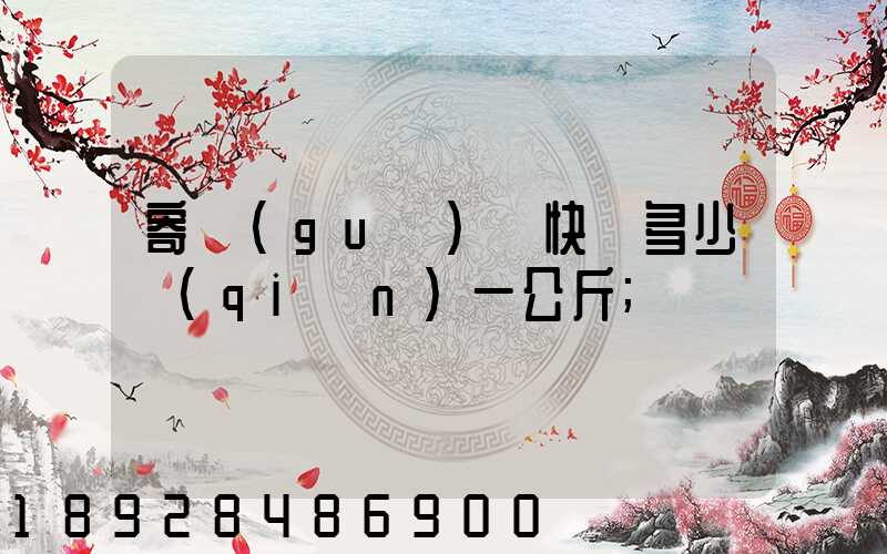 寄國(guó)際快遞多少錢(qián)一公斤