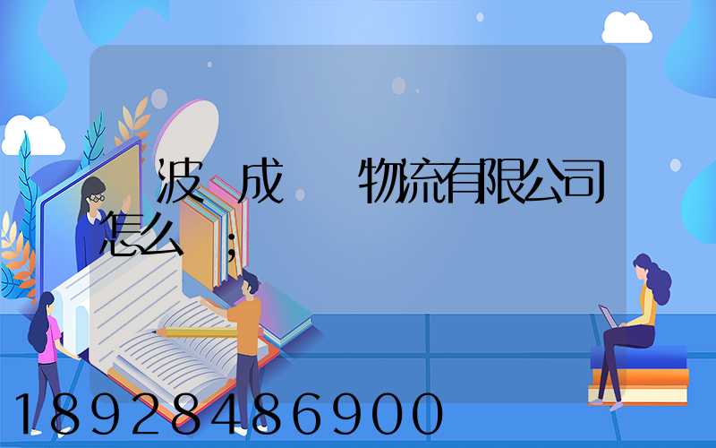 寧波嶸成國際物流有限公司怎么樣