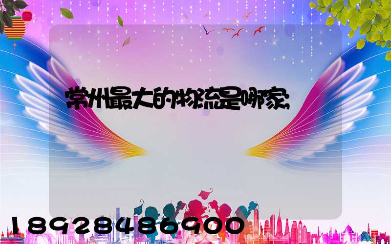 常州最大的物流是哪家