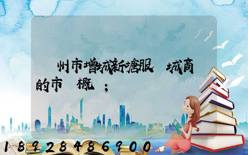 廣州市增城新塘服裝城商場的市場概況