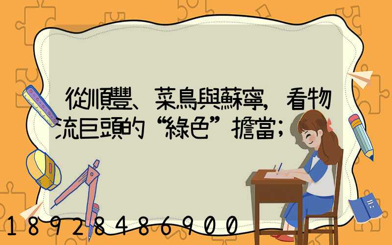 從順豐、菜鳥與蘇寧,看物流巨頭的“綠色”擔當