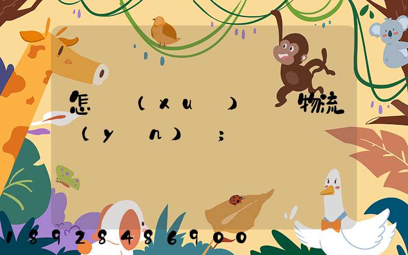怎樣學(xué)倉儲物流運(yùn)輸