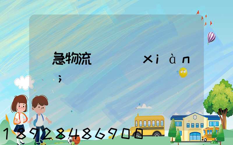 應急物流運輸現(xiàn)狀