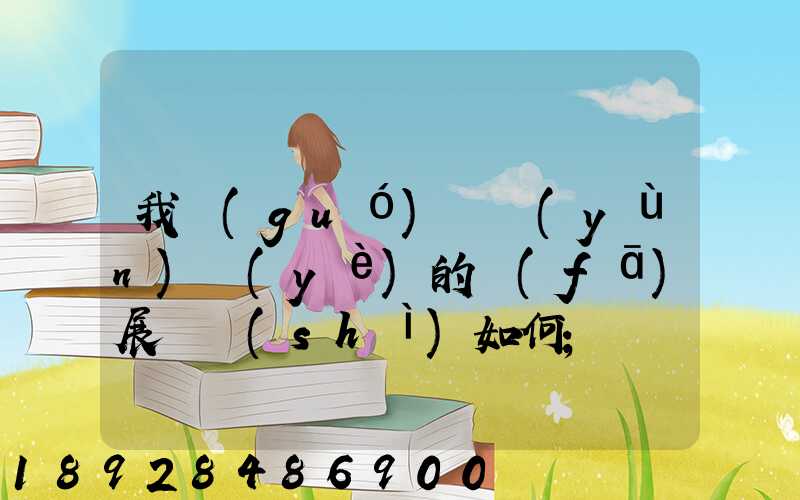 我國(guó)貨運(yùn)業(yè)的發(fā)展趨勢(shì)如何
