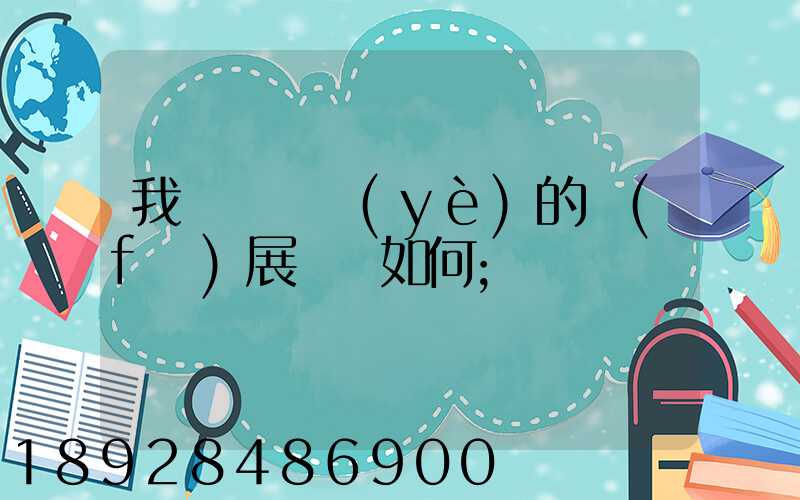 我國貨運業(yè)的發(fā)展趨勢如何