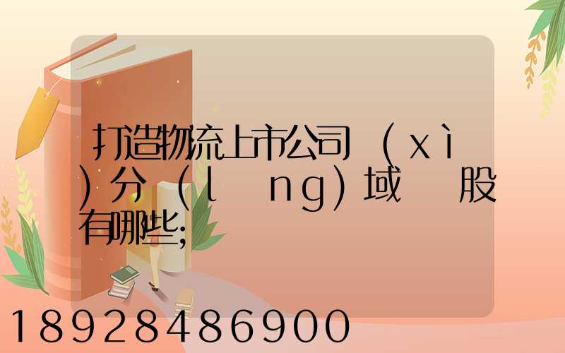 打造物流上市公司細(xì)分領(lǐng)域龍頭股有哪些