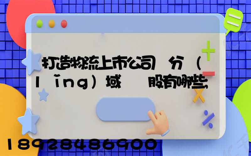 打造物流上市公司細分領(lǐng)域龍頭股有哪些
