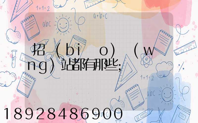 招標(biāo)網(wǎng)站都有那些