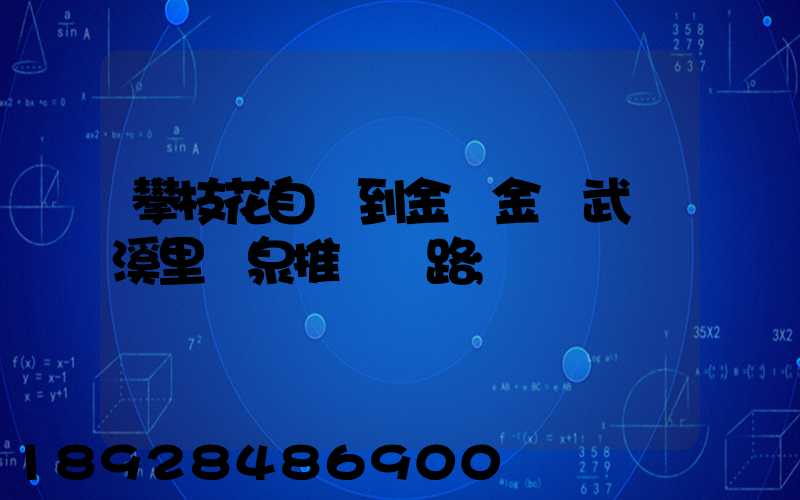 攀枝花自駕到金華金華武義溪里溫泉推薦線路