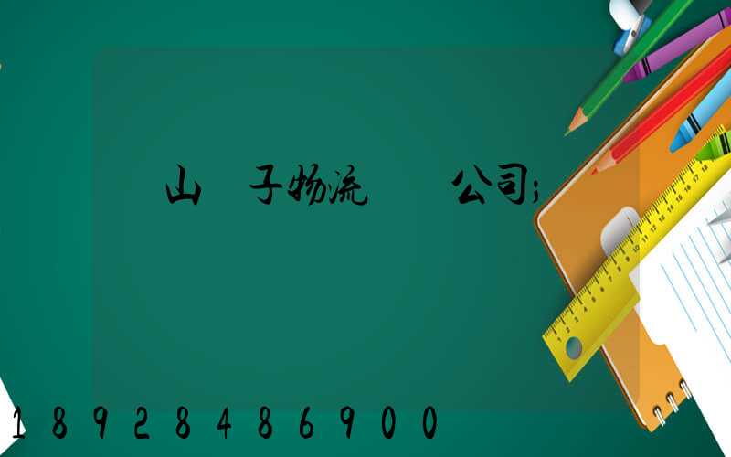 樂山電子物流運輸公司