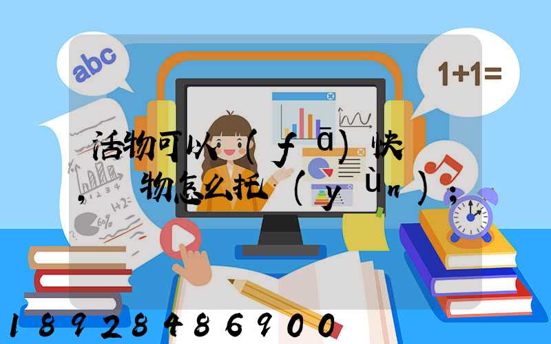活物可以發(fā)快遞嗎,寵物怎么托運(yùn)