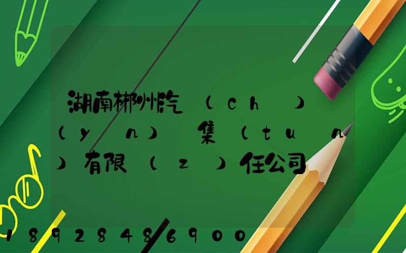 湖南郴州汽車(chē)運(yùn)輸集團(tuán)有限責(zé)任公司電話(huà)是多少
