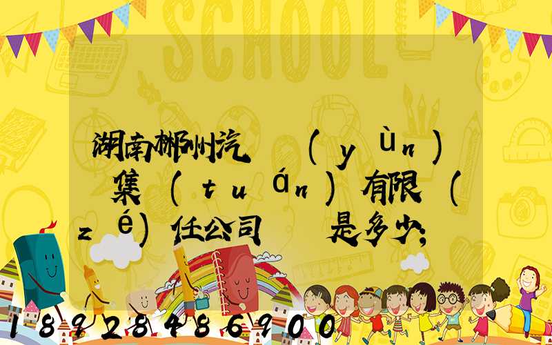 湖南郴州汽車運(yùn)輸集團(tuán)有限責(zé)任公司電話是多少