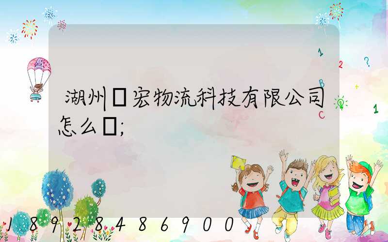 湖州賽宏物流科技有限公司怎么樣