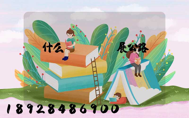 為什么發(fā)展公路運輸