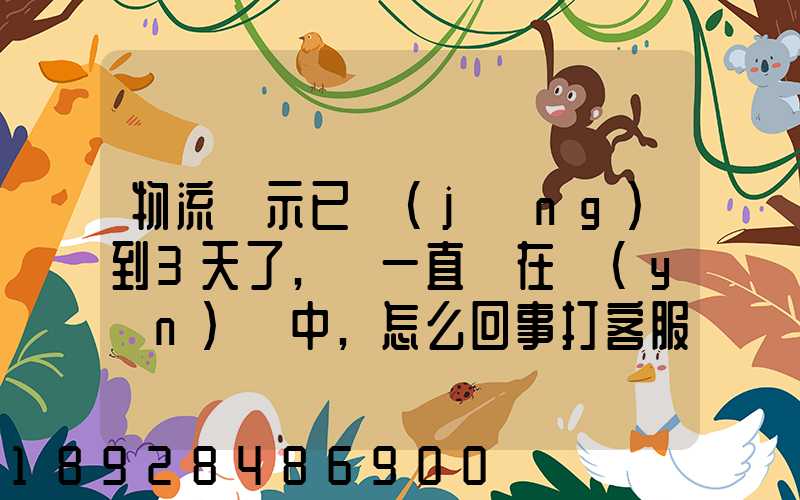 物流顯示已經(jīng)到3天了,卻一直還在運(yùn)輸中,怎么回事打客服電話查,一直...