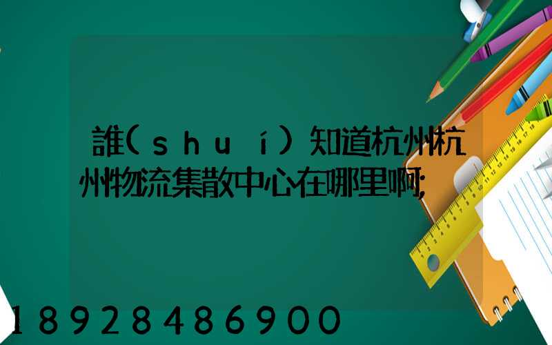 誰(shuí)知道杭州杭州物流集散中心在哪里啊