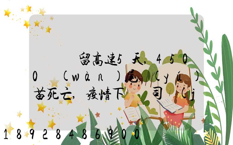 貨車滯留高速5天,4500萬(wàn)尾魚(yú)苗死亡,疫情下貨車司機(jī)有多不易