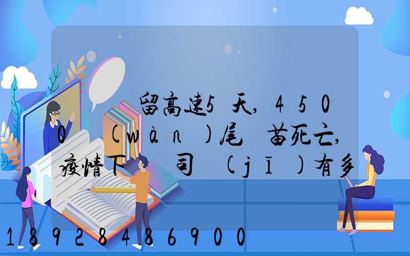 貨車滯留高速5天,4500萬(wàn)尾魚苗死亡,疫情下貨車司機(jī)有多不易