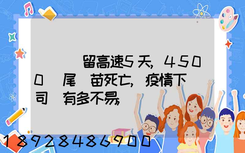 貨車滯留高速5天,4500萬尾魚苗死亡,疫情下貨車司機有多不易